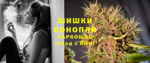 мяу мяу кристалл Корсаков