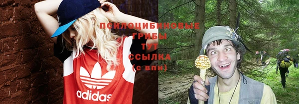 СК Алексеевка