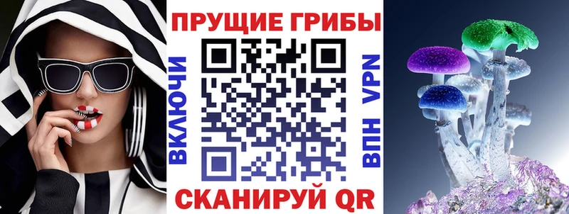 Псилоцибиновые грибы прущие грибы  Чебоксары 